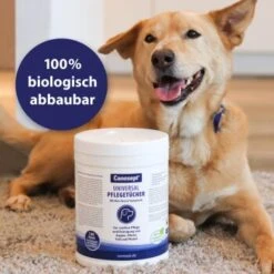 Canosept Universal Pflegetücher -Ruffwear Verkäufe 2024 24cf88dc9848fe8bbd0e0b3c3b3e7bcd1dcef03a 1369844 de DE 57494a83f926392288db1eef06457ee9579ee6ffEZRgS4