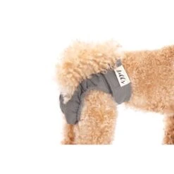 Lills Läufigkeitshöschen "Lou" Pink Berry Grau XXL -Ruffwear Verkäufe 2024 2510182477e0473189522ab4c4eec9318a5ab186 1662393 de DE e81483ca839e45ba2b9fb54d71ddd02dbfa55b06LbZw0y