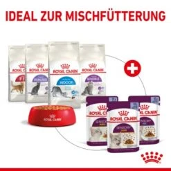 ROYAL CANIN SENSORY Smell In Gelee Für Wählerische Katzen 12x85g -Ruffwear Verkäufe 2024 25c7f2b0017090b05172a164b94d24299f626039 5b9b3776479c43ed4449b8634046c65b7d96c1fe