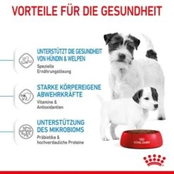 ROYAL CANIN Mini Starter 4 Kg 18 ROYAL CANIN Mini Starter 4 Kg -Ruffwear Verkäufe 2024 26b60efd06ae3b4d0243fe6be53aa26cce422d3d 24bdbd0f35c05770bd7d9069390781e92d02d4c1