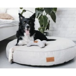 Freudentier Kuscheliges Hundebett Mit Memory Foam ⌀100cm Hellgrau 1 M 13 Freudentier Kuscheliges Hundebett Mit Memory Foam ⌀100cm Hellgrau 1 M -Ruffwear Verkäufe 2024 26c38c5aebcd52b552ff5bdb5460158d8e88e39e 1421323 de DE 04f9a7f7bb078bb1ab33dcbe80d921f3aaa9d108u5MVfR
