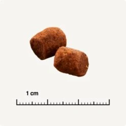 SELECT GOLD Indoor Adult Geflügel & Reis 7 Kg -Ruffwear Verkäufe 2024 26d8ffb703c60b41462e69b68e028f8315fee50f 1243348 de DE 6