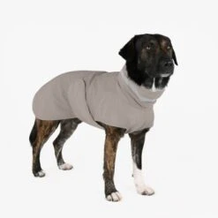 THE DOG IDEA Regenmantel Kayden Greige XXXS -Ruffwear Verkäufe 2024 26e94b2819d39eebebb4da2e237a239e28fae7d4 1681330 de DE 05ad4e02821b193e1ef55613cb4c06a88e5f03eeC7wae5