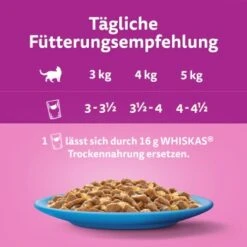 Whiskas Jumbo Pack 1+ Fisch Auswahl In Gelee 80 X 85g -Ruffwear Verkäufe 2024 27393c6f070954de8517b14da99923a6e9b7c78e 1410724 de DE Whiskas 2