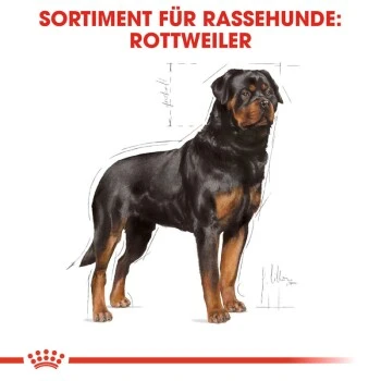 ROYAL CANIN Rottweiler Adult 12 Kg 7 ROYAL CANIN Rottweiler Adult 12 Kg – Bild 7