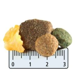 MultiFit Maxi Adult Mit Geflügel & Karotte 12kg 5 MultiFit Maxi Adult Mit Geflügel & Karotte 12kg -Ruffwear Verkäufe 2024 285a1374eac8018ac2265e1fdd93ec21076f69ee bf5819de7d47863be940c2aa45c8c56bc33037f9