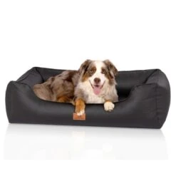 Knuffelwuff Orthopädisches Hundebett Montana Aus Kunstleder Schwarz M-L -Ruffwear Verkäufe 2024 28bd0f32b8e066fb3bb020d5ad220a1937d75ced 1412170 de DE 7311c0c4c8e49d71195954eef00a36c1518080fd4vE1hu