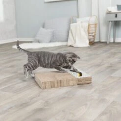 Trixie Kratzpappe Mit Spielzeug 8 Trixie Kratzpappe Mit Spielzeug -Ruffwear Verkäufe 2024 2922fdbeca6faf723a69257e5e81b0da65bcea01 149772bd00e8a047fa4bf8b07169295e296775d1