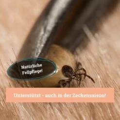 BeG Buddy Fellspray Zecke -Ruffwear Verkäufe 2024 297119792bee87c54c4080010b8d6149223d300c 1457254 de DE b0426d8711049b0aafb9b17aaa93a89672536d279Kmo8x