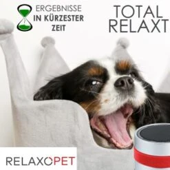 RelaxoPet PRO Entspannungs-Trainer HUND -Ruffwear Verkäufe 2024 2a2890af55504b316fb288b48c33f73cd8cd6818 1315705 de DE 86a89a3dec2d79cadfd859276b25e24b347ce6a68JwiKQ