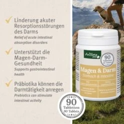 Aniforte Plus Magen & Darm 90 Tabletten 9 Aniforte Plus Magen & Darm 90 Tabletten -Ruffwear Verkäufe 2024 2a3cde23c6370f9f2b3c0f328e6e879ab3ea635e 1455900 de DE b81094d53e104e298c3a8f2f08a9ee6cfbb4af037NutxR