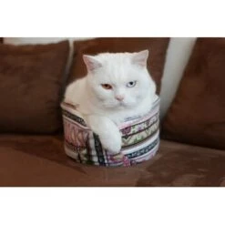 Canadian Cat Company Katzenschiff LUNA 9 Canadian Cat Company Katzenschiff LUNA -Ruffwear Verkäufe 2026 2a794931f9263820d298c92486fc08c7b5fe3a35 1412669 de DE 46780a4b5da8fe052e5be00462eb02991658c41f2ZgeMs