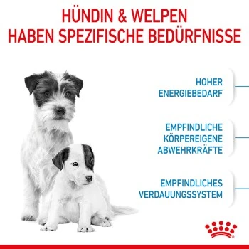 ROYAL CANIN Mini Starter 4 Kg 9 ROYAL CANIN Mini Starter 4 Kg – Bild 9