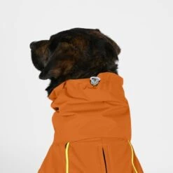 THE DOG IDEA Regenmantel Duke Orange XXXS -Ruffwear Verkäufe 2024 2c464c8150423d80739b1409ce956e12c7928827 1473000 de DE 974a3540330c77e50b2a59dc10e705f1dbfc6716V9PfXa