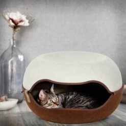 Canadian Cat Company Filz Katzennest 2.0 Weiß -Ruffwear Verkäufe 2026 2d709df44822ed1c554e77257ea4f2826b7f6ee6 1412670 de DE f4bc2f42c404e1ae32cb86346c8e995f0178b889j3OAow