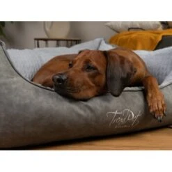 TrendPet VitaBed Style Orthopädisches Hundebett Grau S -Ruffwear Verkäufe 2026 2e22e76b9890cab2b347eb169b198c1328e5fa27 1390626 de DE 4bc3134fc91eb5037474c4e687bb289c40b73b9bIhkXpe