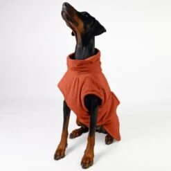 THE DOG IDEA Bademantel Every Steinrot XXXS -Ruffwear Verkäufe 2024 2e931aa465dfb011549016260aaf15af0752cd70 1473054 de DE 15dccd37b84bb897625a5dad636eee6fc7a01d66znpQXe