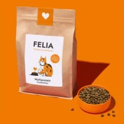 Fred & Felia FELIA Trockenfutter Multiprotein 7 Fred & Felia FELIA Trockenfutter Multiprotein -Ruffwear Verkäufe 2024 2e9f8d17d9ad3cd7c57add952cbc5a24866025b7 1685923 de DE 61fb3de65eaff98cc7a54291eed95edd4438d09aCxT5kC