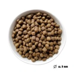 Eat Small EatSmall 3x2kg Trockenfutter Balance Mini -Ruffwear Verkäufe 2024 2eb788cb18e36012b786ebcd36986af0d7384a67 1480035 de DE ef1a1257b12edf1ce0a516e027bab83024c70dae3oyC8T