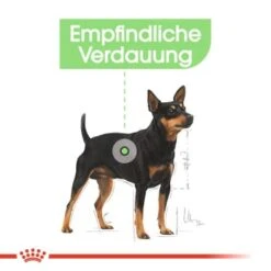 ROYAL CANIN Digestive Care Mini 8 Kg -Ruffwear Verkäufe 2024 2f44f806b768c0d4181b42955c2678d2b1c910f5 6f99c8b5c64093b4e59b1ecd7ada5ca40e016ce2