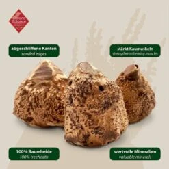 ChronoBalance Kauwurzel Baumheide (S) 2er Paket -Ruffwear Verkäufe 2024 2fba66df2b2671594314bc7879d4e75b1b5c4eb7 1418713 de DE 7f5c8529b0ef5815ce0e8f89d9a5ef23e03b1c21O7y7ow