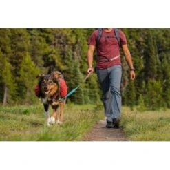 Ruffwear Flat Out™ Leine Blau/ Blau -Ruffwear Verkäufe 2024 301e01aee973227587232acfee5c9b2d71e52668 1364254 de DE def57e85246601bac5529b422afe6912dd25c79c9pNtmU