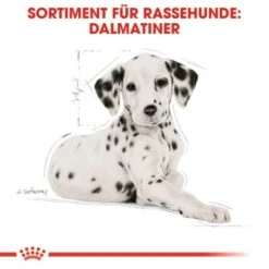 ROYAL CANIN Dalmatian Puppy 12kg -Ruffwear Verkäufe 2024 3036b86ea4ce88871062b93c88ca9a8de810c8ed 68024b37a164808455acf8365f33d66401b0231f