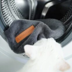 Schlitzohr Ersatzbezug Fensterbankliege 12 Schlitzohr Ersatzbezug Fensterbankliege -Ruffwear Verkäufe 2024 31be77f1e399f6136043e21b4738926da0a2a857 1484678 de DE ef0a822967d19fb8fa7e91c1bd57dd978a972d89UwPMnu