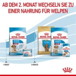 ROYAL CANIN Medium Starter 15 Kg -Ruffwear Verkäufe 2024 323c948a6eab33359f3e5764f6ff7e36767b7df3 63bcd70a2b109cfaa9c260c3910751bd53fef802