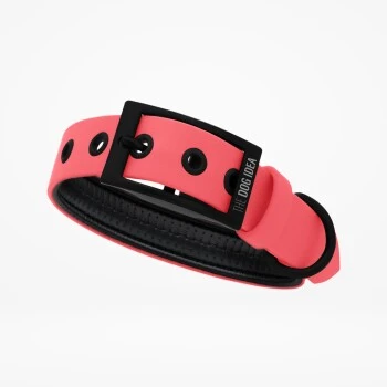 THE DOG IDEA Biothane Halsband Coral Koralle M 1 THE DOG IDEA Biothane Halsband Coral Koralle M