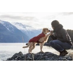 Ruffwear Overcoat™ Hundejacke Rot M -Ruffwear Verkäufe 2024 32b81091541e421621a809b75c62062d90eca320 1369977 de DE e6611e4bd31113b7d836455a75813df21f681f8eLLYoOv