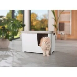 MORE FOR Katzentoilette XXL Titan -Ruffwear Verkäufe 2024 331a65ecbdbda6a54304894f23caf93293414f9a 41a7dcb3b92b8da7531785b268f381c1b25bbf04