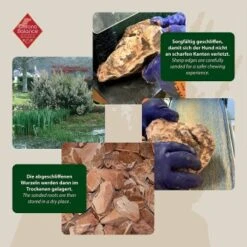 ChronoBalance Kauwurzel Baumheide (S) 2er Paket -Ruffwear Verkäufe 2024 337f42f7f9e26434f99a76b1eb1228e2cb3c330b 1418713 de DE ba8b2a31068658c9820512bd79f25900dbe0cd09dhzOS0