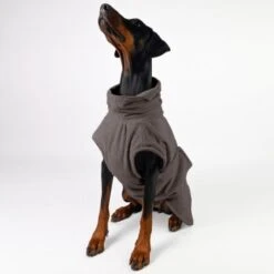 THE DOG IDEA Bademantel Every Taupe XXXS -Ruffwear Verkäufe 2024 33db6a274662d54a120eded68cbb0084aca2ab21 1473027 de DE 66449ce0cb21357c2081b9379bf434469bb71cdf7zBVD9