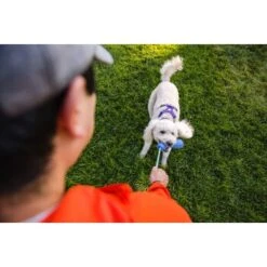 Ruffwear Gourdo™ Spielzeug S Grün -Ruffwear Verkäufe 2026 340d5a3cda4bb7c7215d03f2d69aea1fb532027d 1639795 de DE dcb292407c796db89093f35e704145b6700aa2deFjWC0G