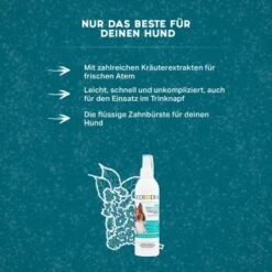MediDog Dental Fresh & Clean 7 MediDog Dental Fresh & Clean -Ruffwear Verkäufe 2024 343cceef613c074ed5b447a70d31269a870cf15d 1499660 de DE f2641cc7f5b00beb77fbbf61330ce24716292663yYZq7c