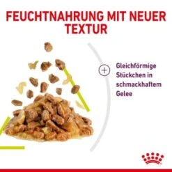 ROYAL CANIN SENSORY Smell In Gelee Für Wählerische Katzen 12x85g -Ruffwear Verkäufe 2024 3469e2789c9f64bff26f87bbac39ba0a4ed440ea 45f33cf5dbb691236fc67f7b11a07842abb35bb4
