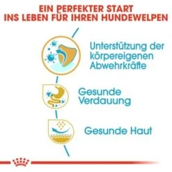 ROYAL CANIN Französische Bulldogge Puppy 10 Kg -Ruffwear Verkäufe 2024 34ed88d56e0be1cc0a286c4ecd66a1af31d1100e 2bf488555545c9acb1d0d947f06389b7a3324357