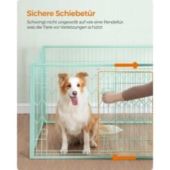 FEANDREA Welpenauslauf 4-teilig Schwarz Mintgrün -Ruffwear Verkäufe 2024 35628eced21c5b790a038ff766d6461fd7692ef2 1500915 de DE 85cc3af176bad61013c5779ea5a3c5652966689aKZhajB