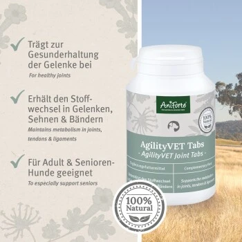 Aniforte AgilityVET Gelenktabletten 120 Stück 2 Aniforte AgilityVET Gelenktabletten 120 Stück – Bild 2