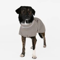 THE DOG IDEA Regenmantel Kayden Greige XXXS -Ruffwear Verkäufe 2024 388f18a16f3ef46e42429e3e6998bdcc5f13c564 1681330 de DE d791f38b8115cb21794f155838f6af392f1bfe1bmdkikr