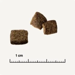 REAL NATURE WILDERNESS Adult Mixpaket Mixpaket 1, Mix-Pack -Ruffwear Verkäufe 2024 38c9fddfde6e364977836a7419845bd5679c428a 1267097 de DE 6 savannah 1173938004