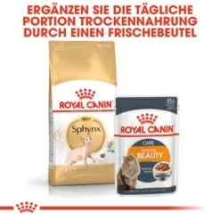 ROYAL CANIN Sphynx Adult 10 Kg -Ruffwear Verkäufe 2024 3906a062e16f5bd461101d929a537d8758b12116 adee1c6bcb9ad8aaefab190065dd09975222b7fc