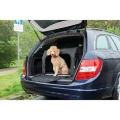 AniOne Traveller S -Ruffwear Verkäufe 2024 394e516e1caddf7d946360ef0a7ccad0e7fafa71 1367559 de DE AniOne Traveller wb 9