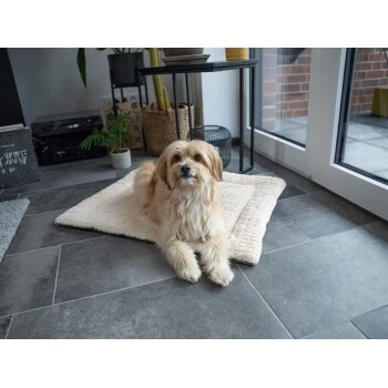 TrendPet Heaven Gefütterte Liegedecke Beige XS 2 TrendPet Heaven Gefütterte Liegedecke Beige XS – Bild 2