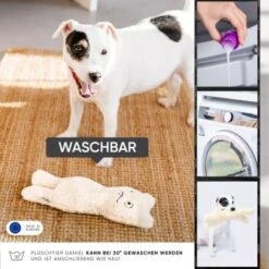 Freudentier Nachhaltiges Hundespielzeug Daniel -Ruffwear Verkäufe 2024 399eb762da5db839e1d54b11a980f1adc24ffa3a 1408970 de DE 4fae29de579b316485a3de702f2c6d8ee3ac7b4f8TlZcj