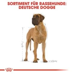 ROYAL CANIN Deutsche Dogge Adult 12 Kg -Ruffwear Verkäufe 2024 3b2e2b76f77a85e7a2e2e3760f4acf201582be79 91fbd3cfc727b41692ded4aa1c29adb0f8bf3146