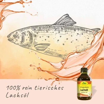 Singulares Lachsöl 500ml 2 Singulares Lachsöl 500ml – Bild 2