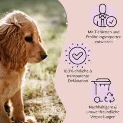 FAVLY Petfood Premium Naturkauartikel Rinderpansen 1,05 Kg -Ruffwear Verkäufe 2024 3c7dea888d41e787be14f9a3e7d3063c7c5e0f1d 1475220 de DE a2c9f8d86d80fc90ca8f9c923a08051ec130ef8dgxl8xk