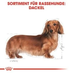 ROYAL CANIN Dachshund Adult Mousse 12x85g -Ruffwear Verkäufe 2024 3e00f9d2a998881197cc4978220ea135ca47c0c1 eeff6dbc0deb1a69304ddefd8bd28703b98639ef